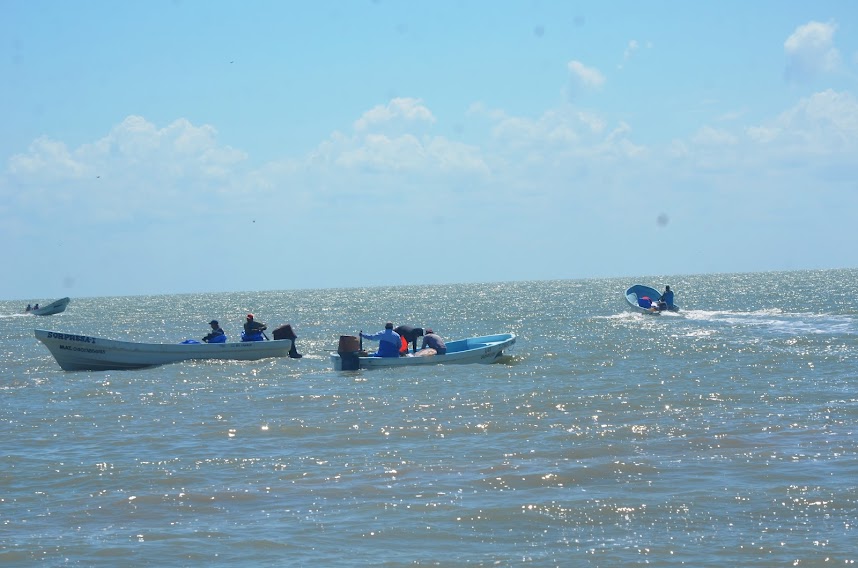 Reactivación de la pesca en Carmen generaría derrama económica