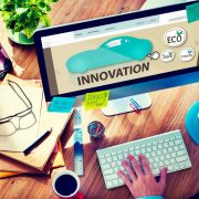 Empresas emergentes en Yucatán 2024: ¡El auge empresarial!