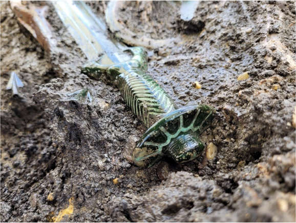 El misterio de los artefactos antiguos