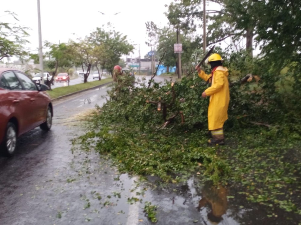 Acciones Preventivas del IPCET