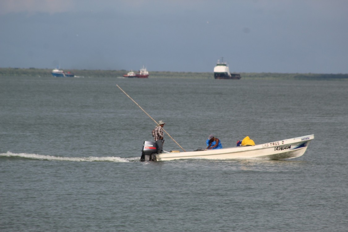 Reactivación de la pesca en Carmen generaría derrama económica