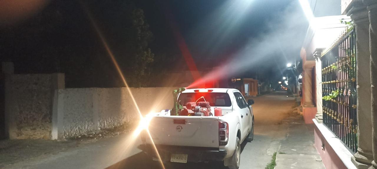 Calendario de fumigación en Mérida