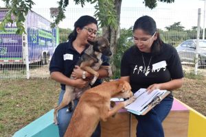 Con la implementación del Esterimóvil, el Ayuntamiento de Mérida lleva la esterilización de mascotas a todos los rincones de la ciudad.