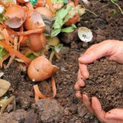 Opciones para compostar en casa en Mérida