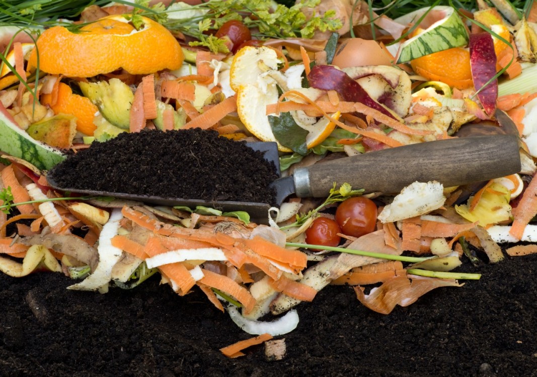 Materiales permitidos y prohibidos para compostar