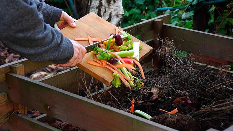 ¿Por qué compostar en casa en Mérida?