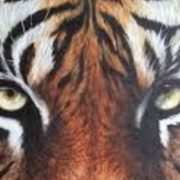 Democracia y medios de comunicación