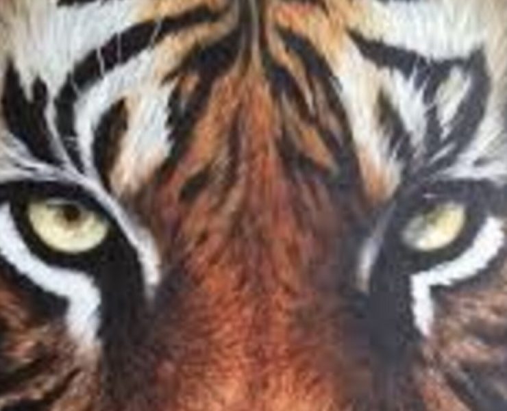 Democracia y medios de comunicación