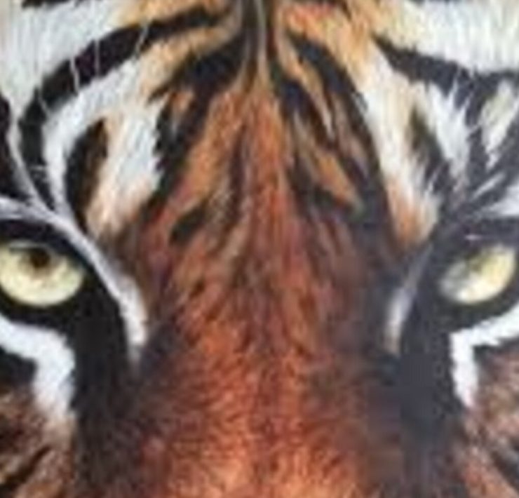 Democracia y medios de comunicación