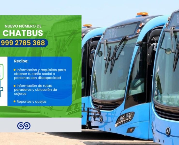 Cómo reportar transporte público en mal estado en Mérida