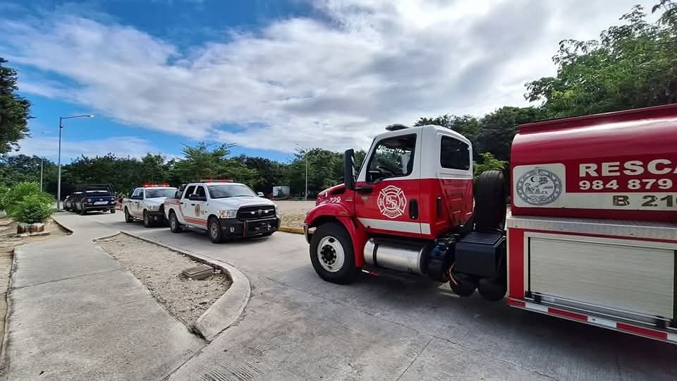 Inmediatamente, los agentes acordonaron la zona y, con la colaboración de Protección Civil y Bomberos, comenzaron a retirar el material explosivo.