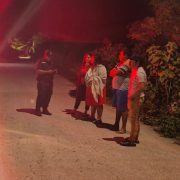 Impactante hallazgo: Ocho perros sin vida en Yucatán