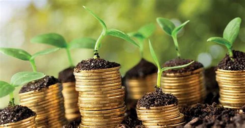 Recomendaciones para solicitar financiamiento agrícola