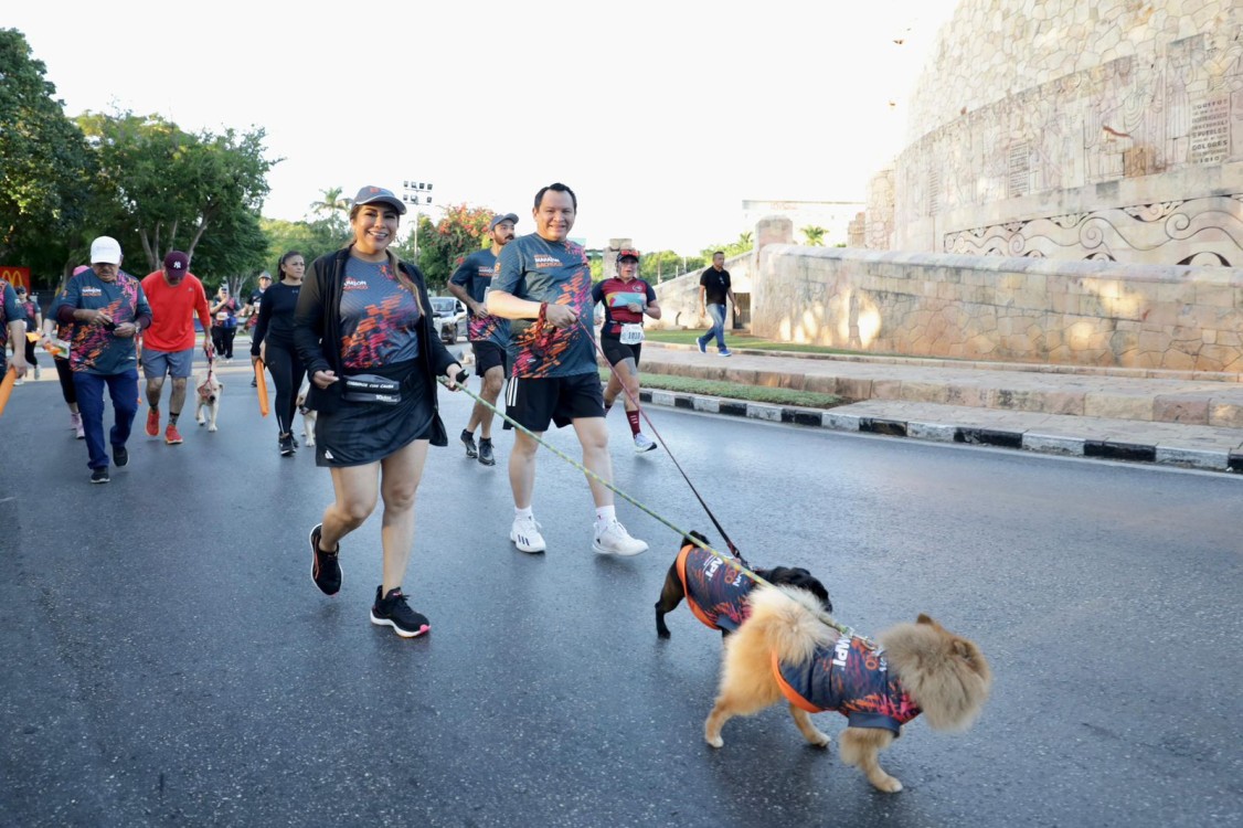 Premios, Solidaridad y Sustentabilidad