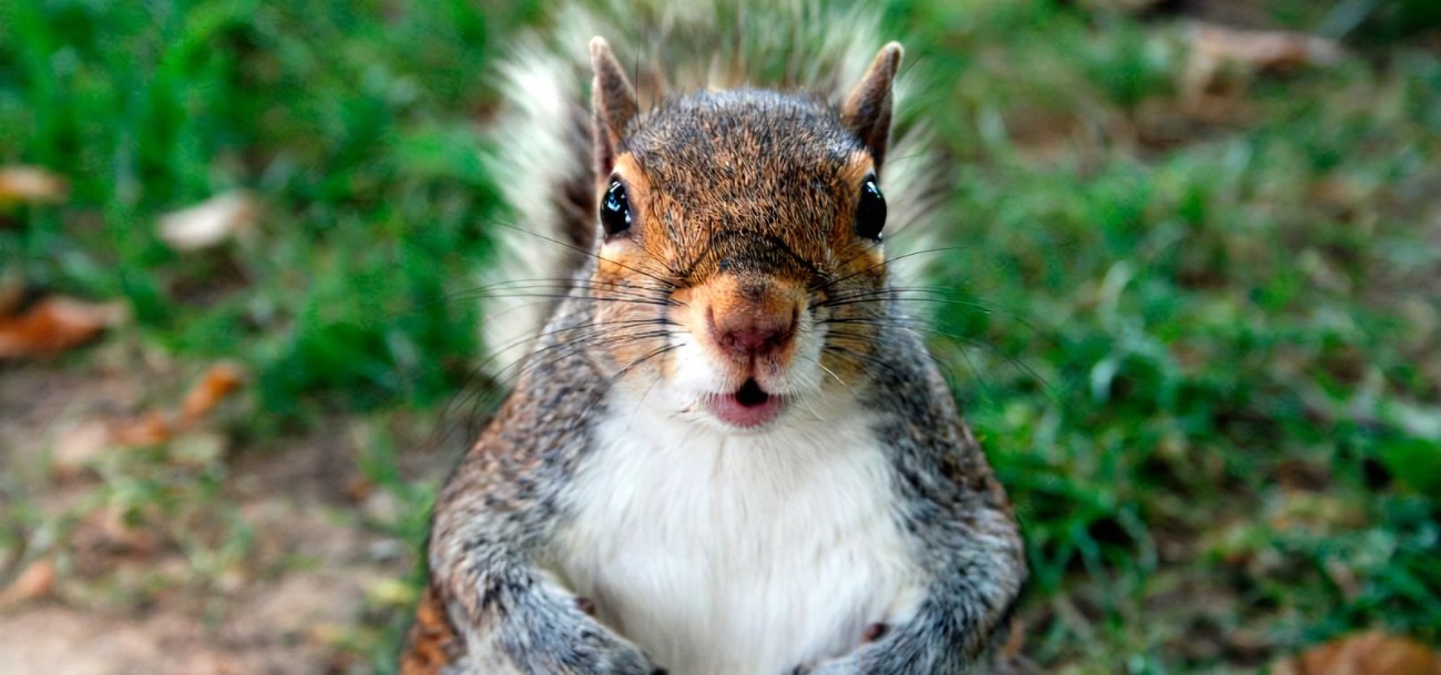 Los descubrimientos científicos siguen sorprendiendo