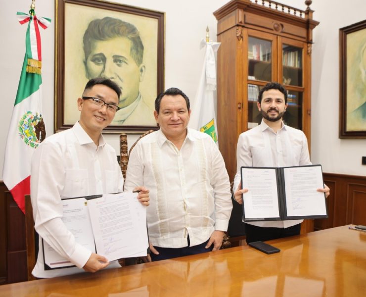 Shijing Solar Power explora inversión en Yucatán: ¿El futuro de las energías renovables