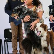 Clara Brugada presenta Plan Integral de Bienestar Animal para la CDMX