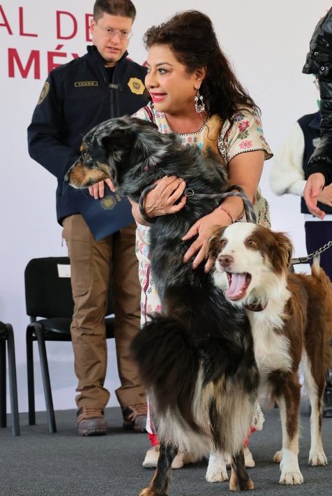Clara Brugada presenta Plan Integral de Bienestar Animal para la CDMX