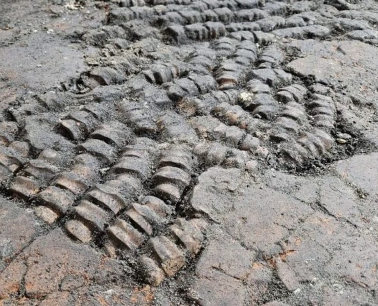 Hallazgo arqueológico en Países Bajos. Lo tachan de macabro
