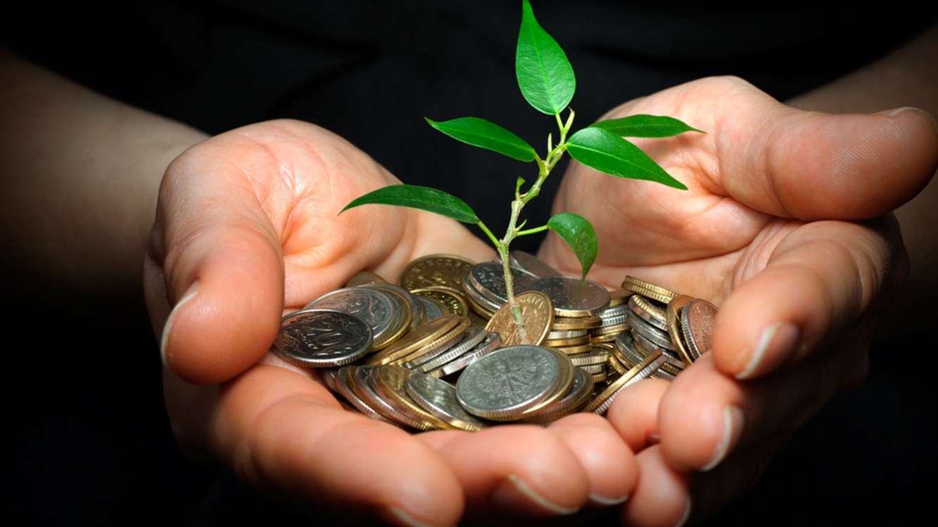 Financieras y bancos privados en Mérida