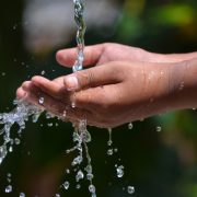 Cómo ahorrar agua en Mérida: Aquí algunos trucos ambientales