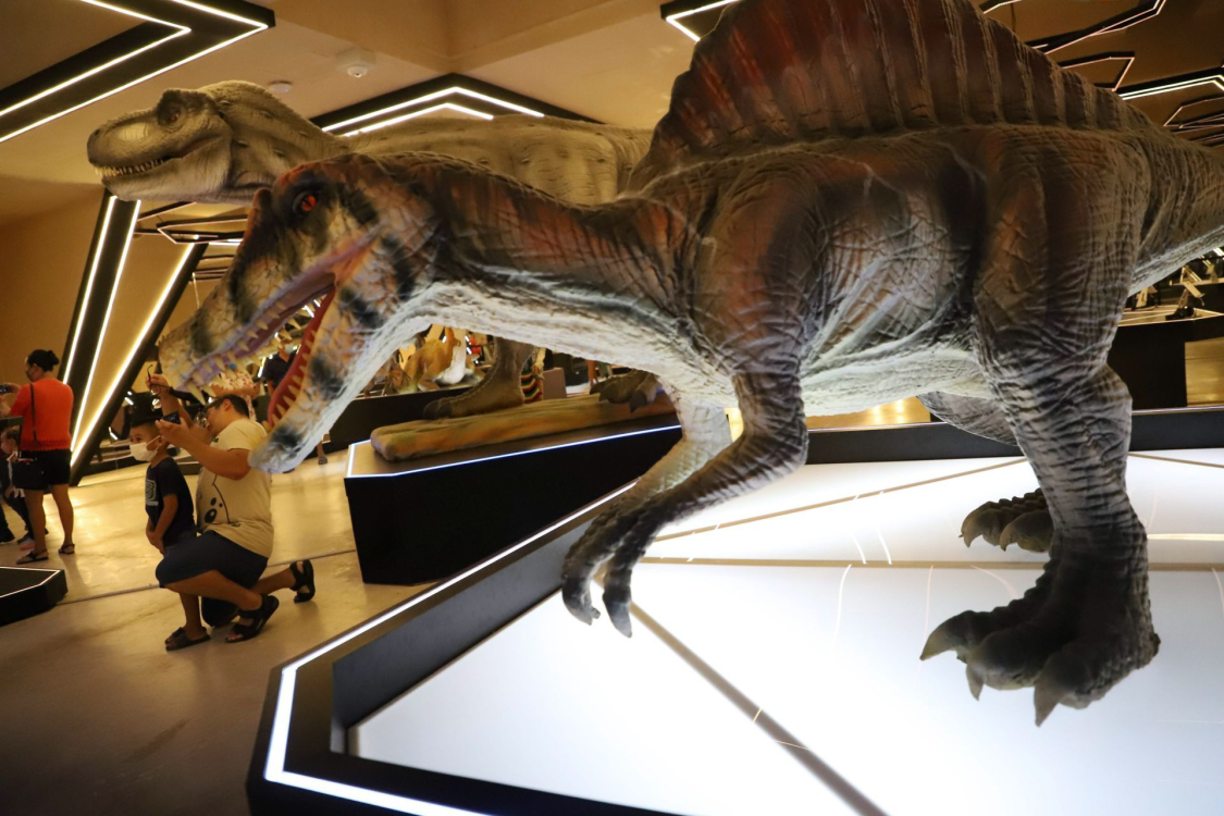 Museo del Meteorito