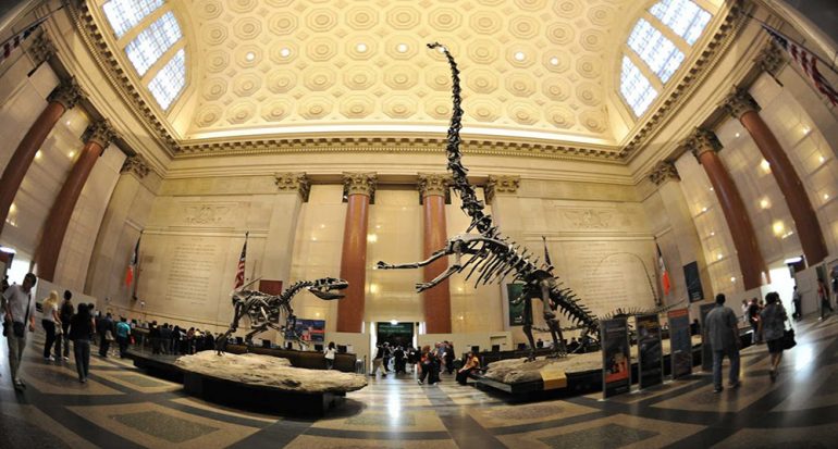 El descubrimiento de una reliquia histórica