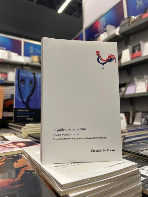 poeta mexicano Audomaro Hidalgo