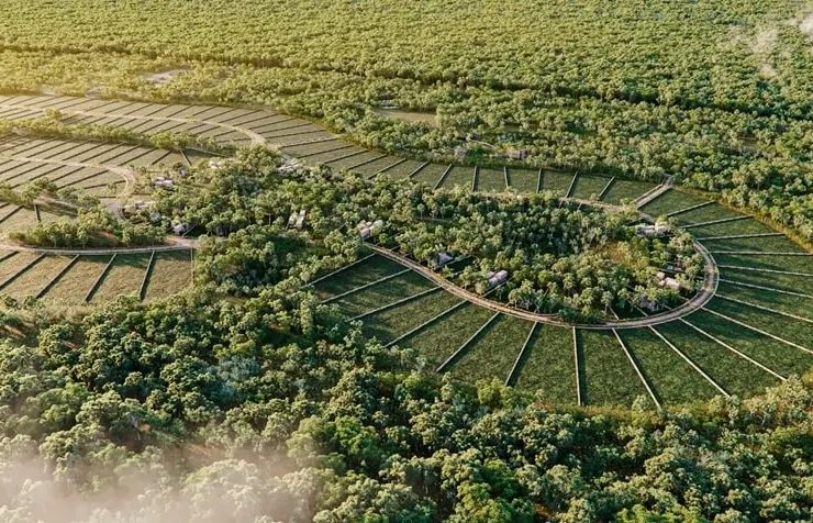 Cuánto Cuesta un Terreno en Mérida en 2025! ¡Precios Sorprendentes!