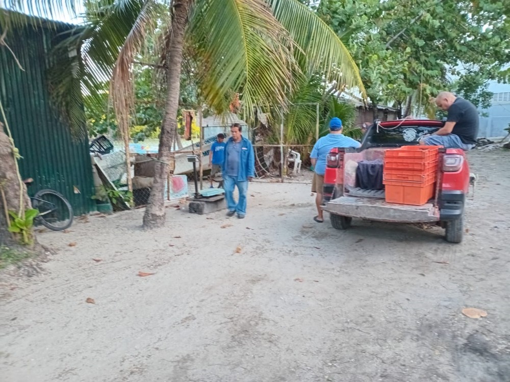 Pescadores no conocen a la diputada federal Gabriela Basto
