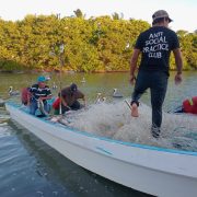 Pescadores no conocen a la diputada federal Gabriela Basto