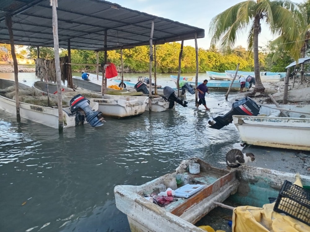 Pescadores no conocen a la diputada federal Gabriela Basto