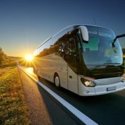 ¿Qué hacer si pierdes el autobús en Mérida?