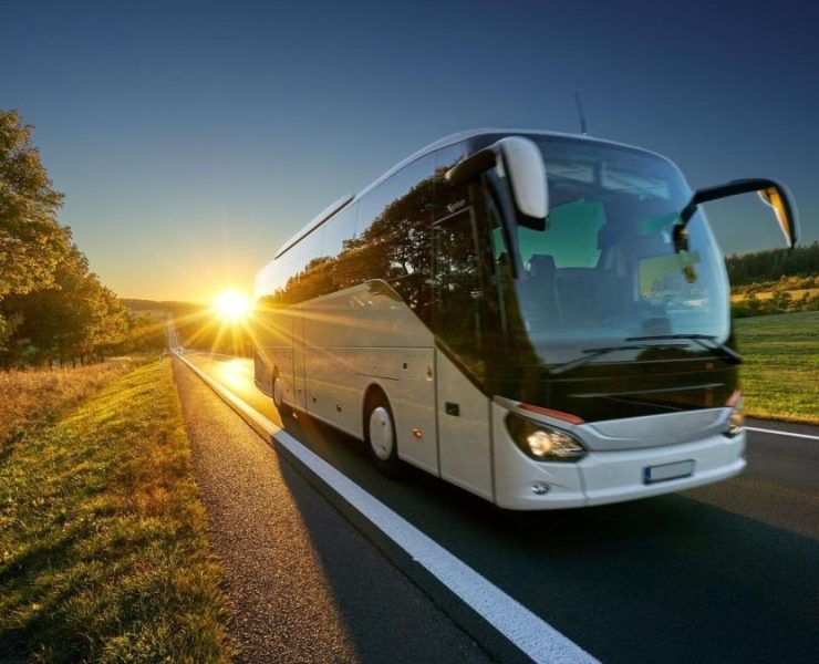 ¿Qué hacer si pierdes el autobús en Mérida?