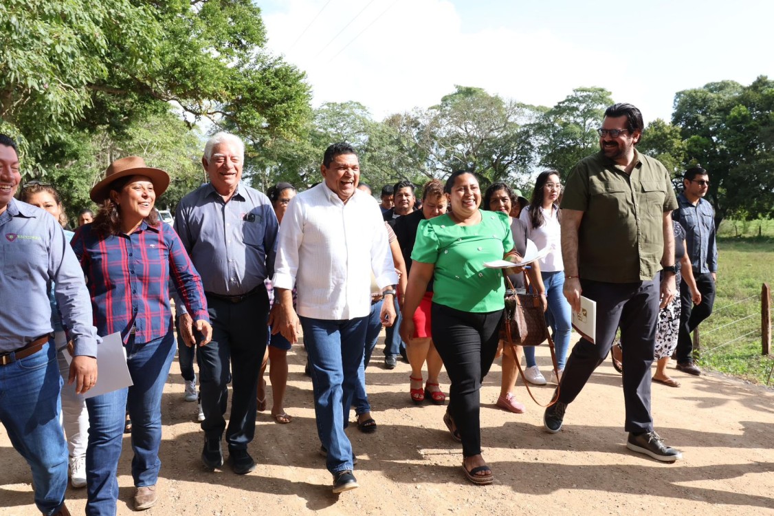 Avances en pavimentación y puentes vehiculares