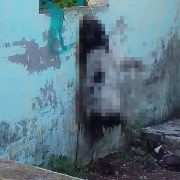 Inicia investigación contra mataperro de Palizada