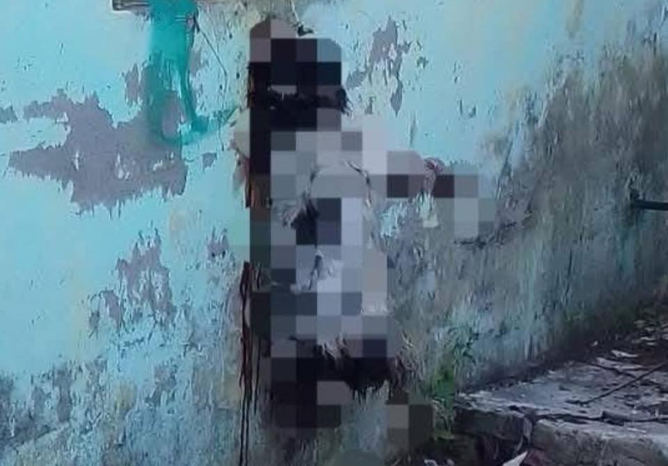 Inicia investigación contra mataperro de Palizada