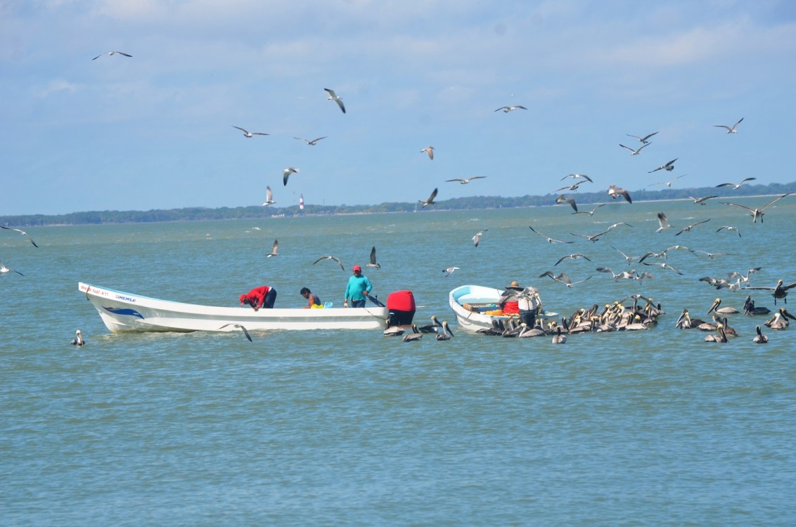 Preocupa al sector pesquero los robos en el mar