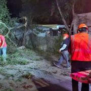 Frente Frío número 24 deja afectaciones en el municipio de Carmen