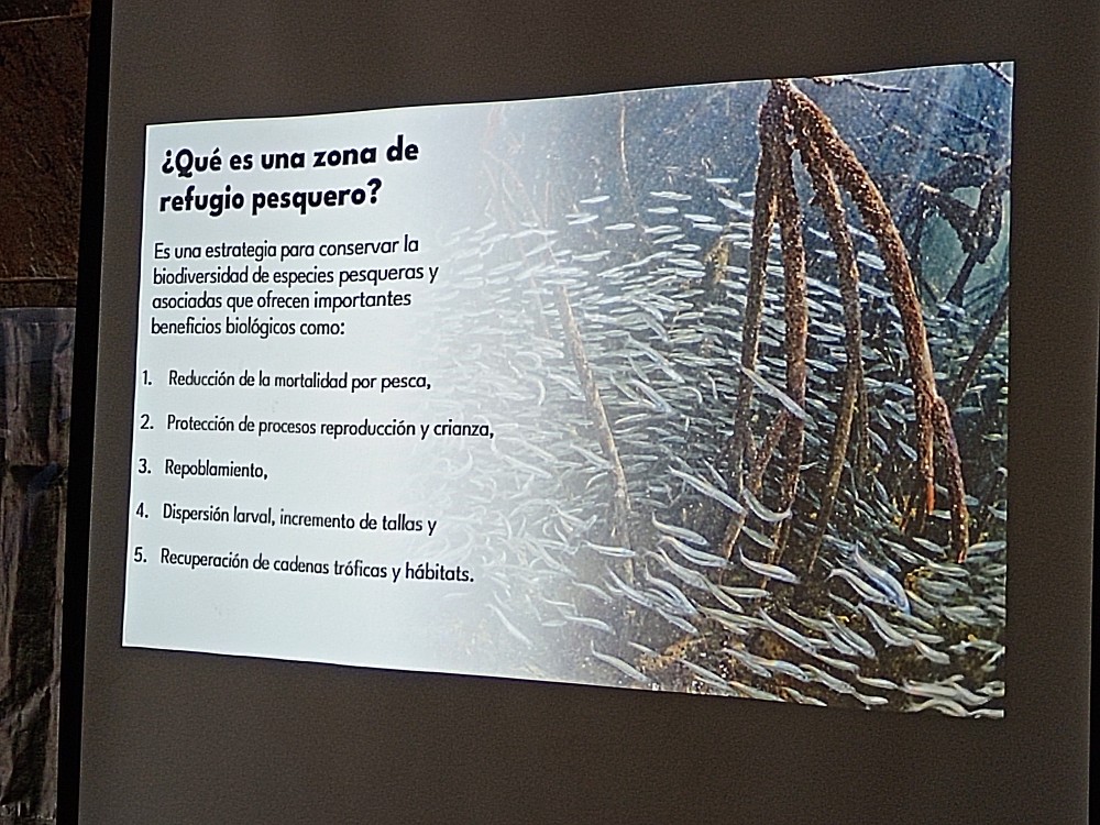 Propuesta para que Estero Pargo sea Zona de Refugio pesquero