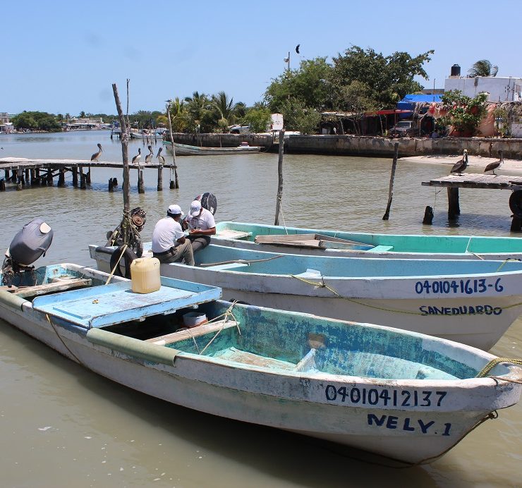 Frentes fríos afecta la actividad pesquera