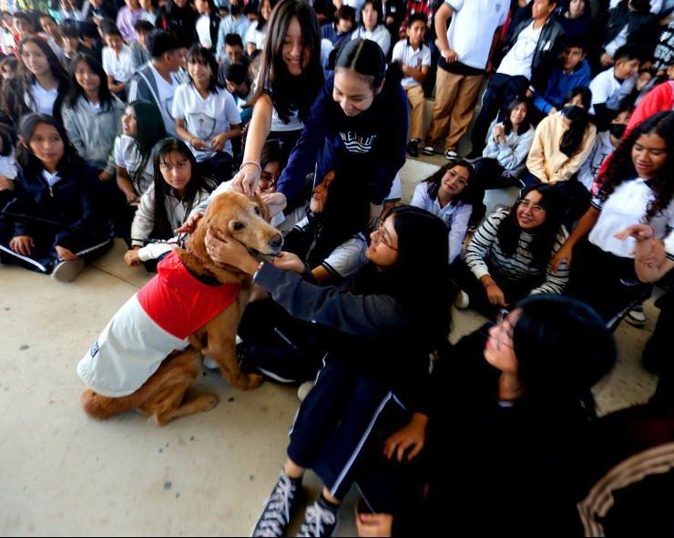 ¡Revolución en las aulas! La Canoterapia llega a las escuelas públicas de Yucatán