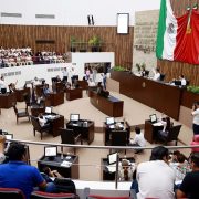 ¡Es urgente! La cruel realidad de la crueldad animal en Yucatán y la lucha por su protección