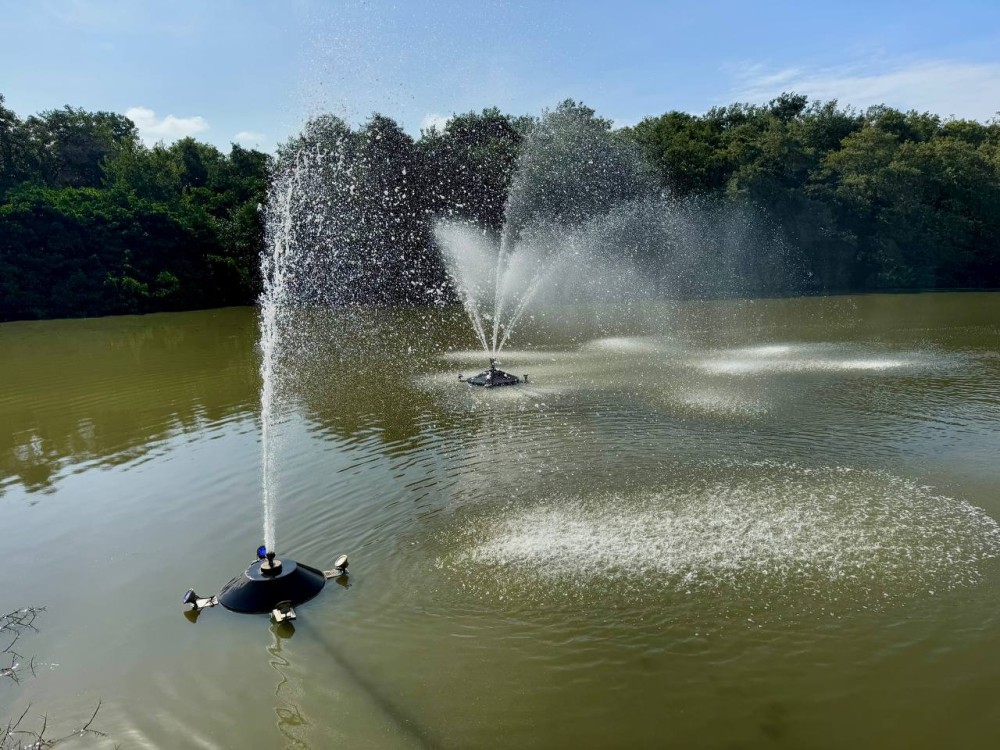 Limpian maleza en Arroyo de la Caleta de Ciudad del Carmen