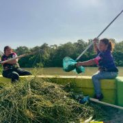 Limpian maleza en Arroyo de la Caleta de Ciudad del Carmen