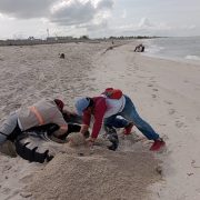 Limpian playa de la colonia Tierra y Libertad