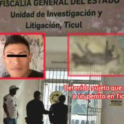 Perro asesinado por drogadicto en Yucatán desata ola de indignación