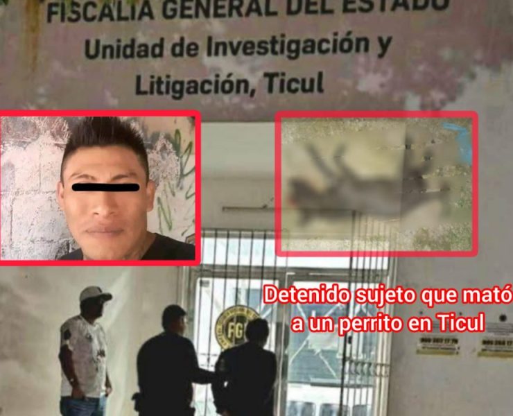 Perro asesinado por drogadicto en Yucatán desata ola de indignación