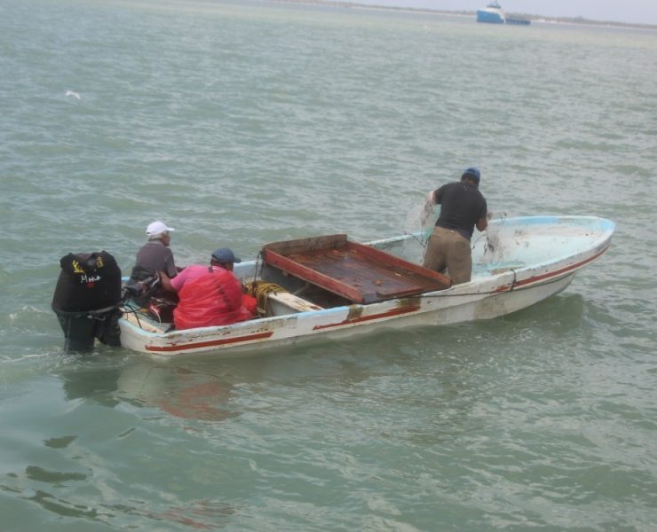 Mal tiempo impide la pesca ribereña