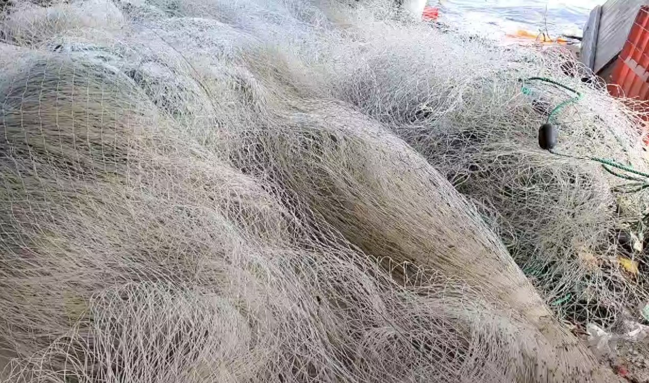 Roban lancha a pescadores y los abandonan en el mar
